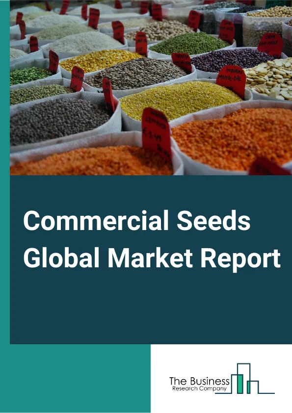 Commercial Seeds Global Market Report 2025 – By Products (Maize (Corn), Soybean, Vegetable, Cereals, Cotton, Rice, Canola (Rapeseed), Others Products), By Seed Type (Organic, Inorganic, Genetically Modified), By Trait (Herbicide-Tolerance, Insect Tolerance, Other Traits) – Market Size, Trends, And Global Forecast 2025-2034