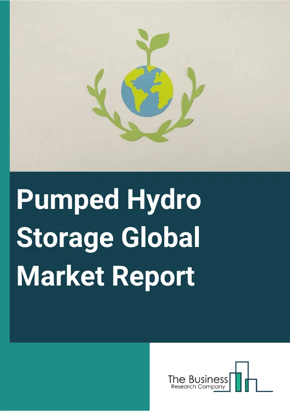 Global Pumped Hydro Storage Market Report 2025